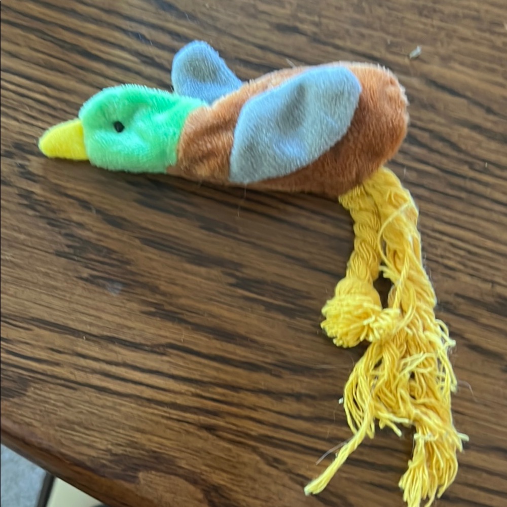 Colorful Cat Toy Set - Picture 2 of 9